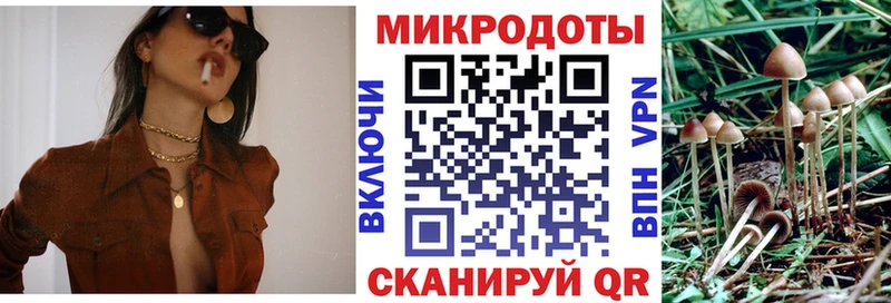 Купить закладки  Чапаевск  Галлюциногенные грибы MAGIC MUSHROOMS 